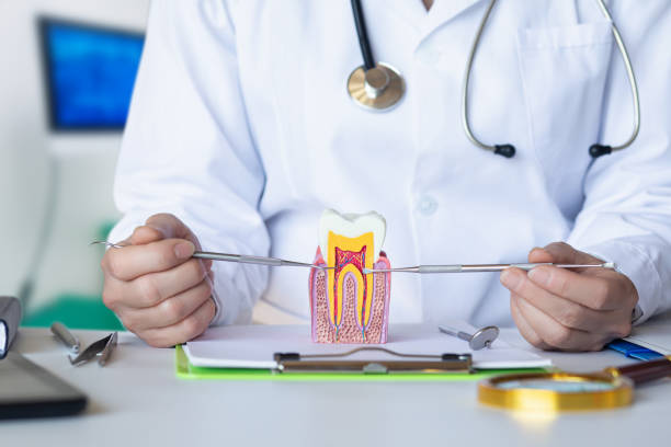 Best Emergency Root Canal Treatment in White Pine, TN